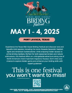 Birding Festival Flyer 2025